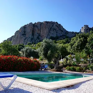 Olive Branch Spanien